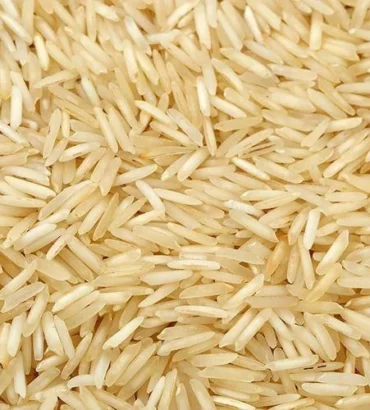 Rice